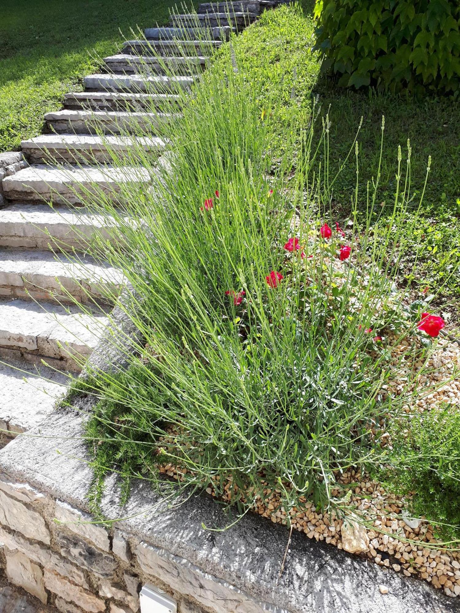 Ferienhaus In Tremosine Sul Garda Pieve  Εξωτερικό φωτογραφία